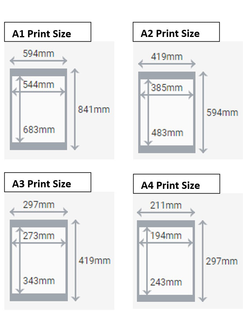 CECELIA - Limited Print